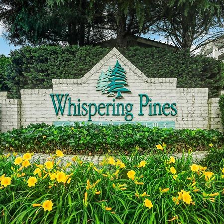 شقة Absolute Delight Whispering Pines 553 بيدجن فورج المظهر الخارجي الصورة